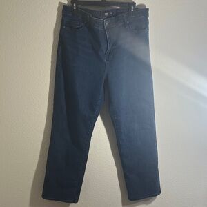 Hudson Jeans Women's Straight Leg Dark Blue high waist size 16